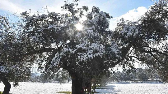 İstanbul'a çile olan kar, Bodrum'a neşe oldu