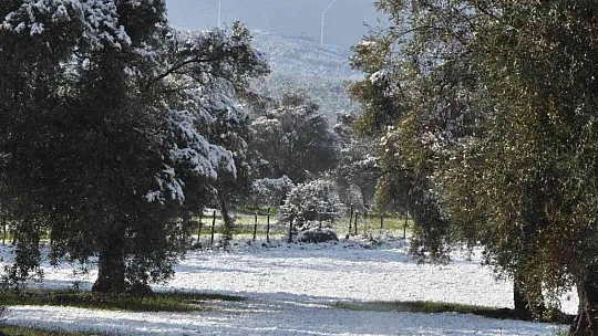 İstanbul'a çile olan kar, Bodrum'a neşe oldu