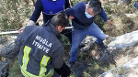 Jandarma ve Zabıta'dan ortak kurtarma operasyonu
