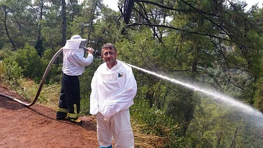 İtfaiye ekipleri bu defa arıların kızgınlığını gidermek için görev yaptı
