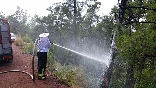 İtfaiye ekipleri bu defa arıların kızgınlığını gidermek için görev yaptı