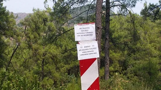 İtfaiye ekipleri bu defa arıların kızgınlığını gidermek için görev yaptı