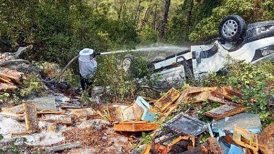 İtfaiye ekipleri bu defa arıların kızgınlığını gidermek için görev yaptı