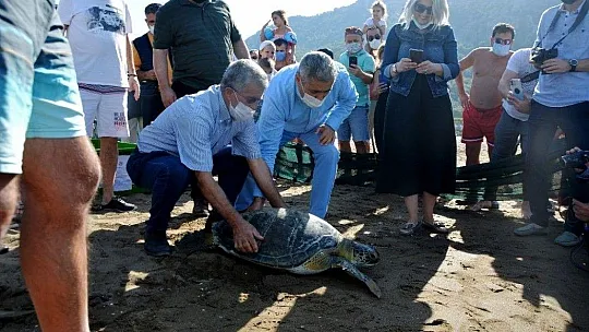 İztuzu sahilinde rekor yuva