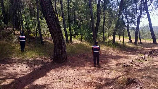 Jandarma 'Yeşil Vatan' devriyesinde