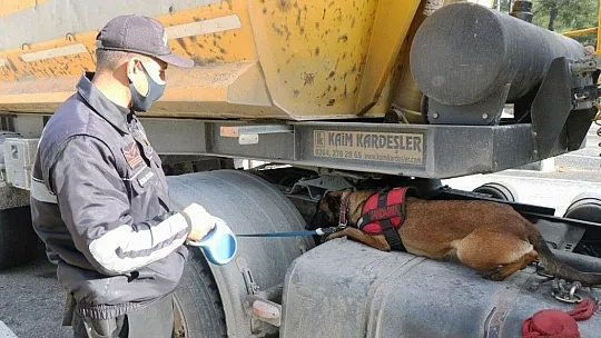 Jandarma 249 litre sahte alkol ele geçirdi