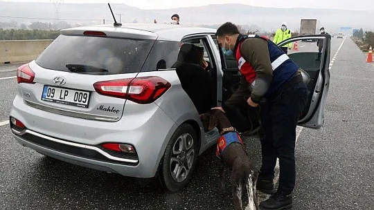 Jandarma 249 litre sahte alkol ele geçirdi