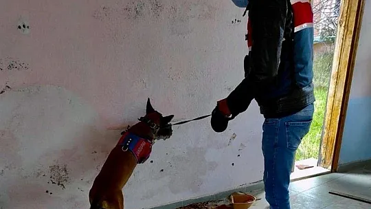 Jandarma 249 litre sahte alkol ele geçirdi