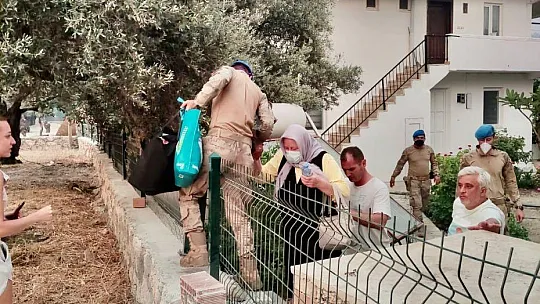 Jandarma ekipleri Datça'daki orman yangını için topyekün seferber oldu