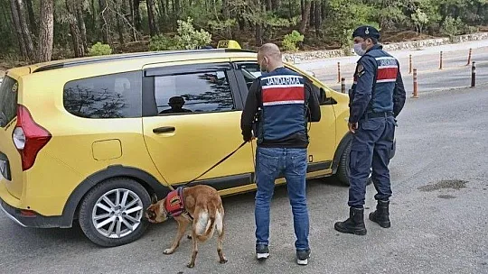 Jandarmanın Covid-19 denetimleri sürüyor