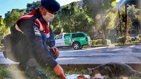 Jandarma'nın hayvan hassasiyeti