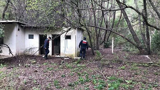 Jandarmadan 456 personelle 'Narkotik ve Huzur' uygulaması