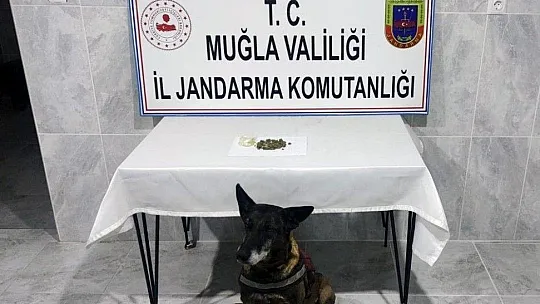 Jandarmadan 456 personelle 'Narkotik ve Huzur' uygulaması