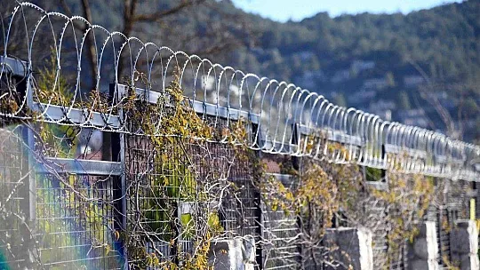 Fethiye Belediyesi'nden hayvanseverleri sevindirecek karar