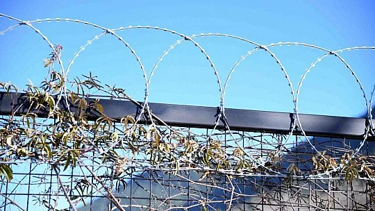 Fethiye Belediyesi'nden hayvanseverleri sevindirecek karar