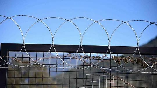 Fethiye Belediyesi'nden hayvanseverleri sevindirecek karar