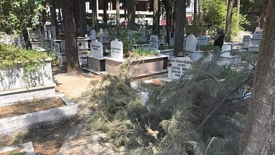 FETHİYE'DE 2022 NÜFUS OLAYLARI VERİLERİ ŞÖYLE 