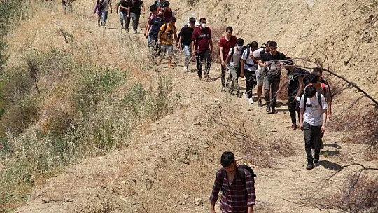 Kaçak göçmenler ormanda yakalandı