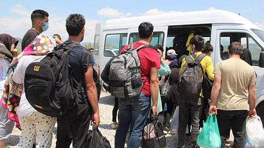 Kaçak göçmenler ormanda yakalandı