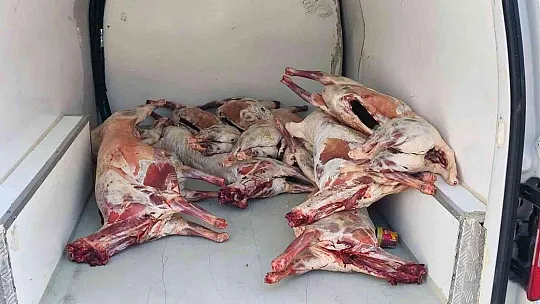 Kaçak kesim havyan eti yakalandı