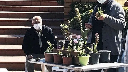 Kaçak Salep toplamaya karşı kültürel yetiştiricilik eğitimi
