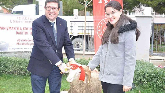 KADIN ÜRETİCİLERE 400 KOYUN VE 16 KOÇ DAĞITILDI