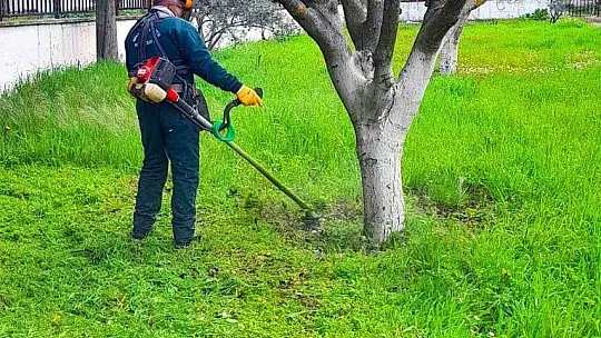 Kamu kurumlarının yeşil alanlarının bakımı Menteşe Belediyesinden