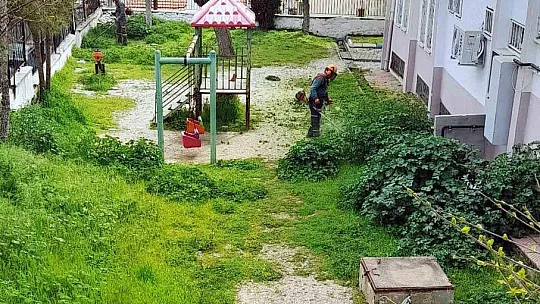 Kamu kurumlarının yeşil alanlarının bakımı Menteşe Belediyesinden