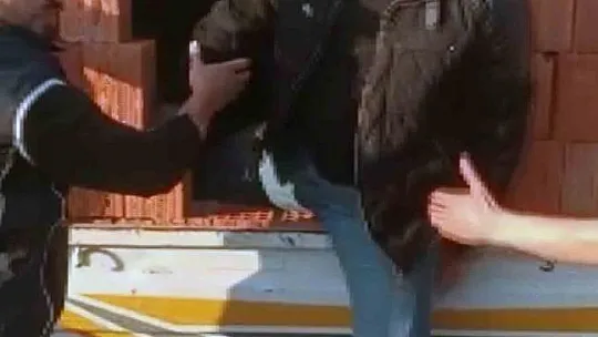 Kamyon kasasında tuğla kamuflajlı göçmen kaçakçılığı