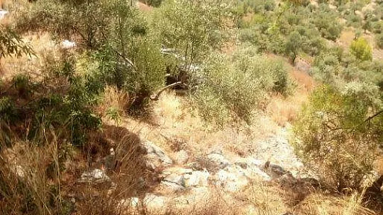 Kamyonet uçuruma yuvarlandı: 5 yaralı