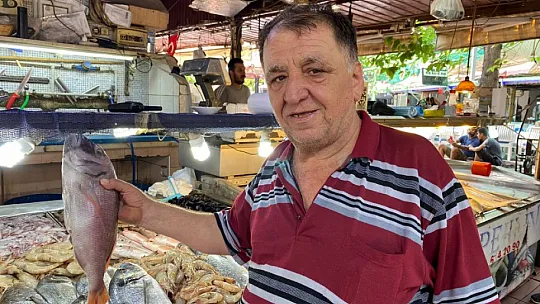 TROL AVI AÇILDI ÇEŞİT ARTTI