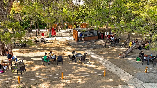 Belediye plajları uygun fiyatlarıyla ilgi görüyor