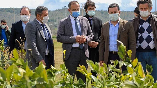 Karaova Cazibe Merkezi Olacak