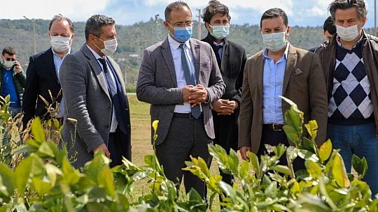 Karaova cazibe merkezi olacak