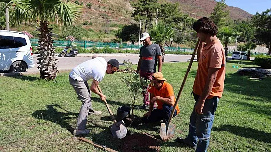 Kardeş şehirden Marmaris'e fidan