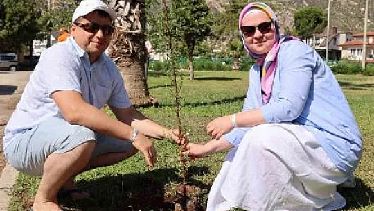 Kardeş şehirden Marmaris'e fidan