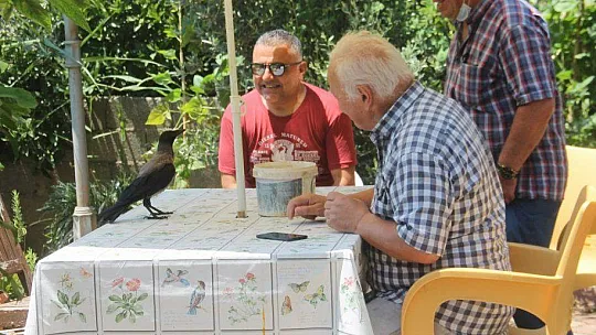 Karga kendisine yapılan iyiliği unutmadı