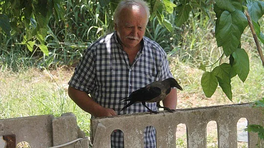 Karga kendisine yapılan iyiliği unutmadı