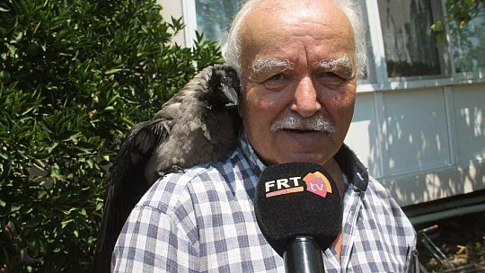 Karga kendisine yapılan iyiliği unutmadı