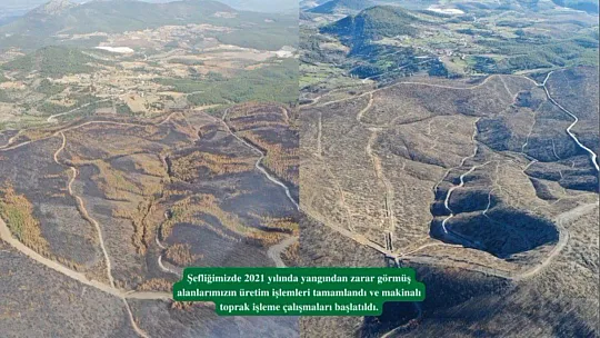 Kavaklıdere'de yanan alanlarda çalışmalar sürüyor
