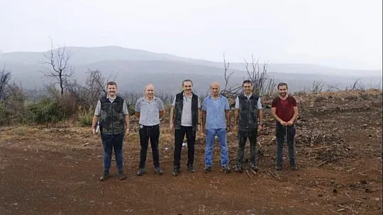 Kavaklıdere'de yanan alanlarda çalışmalar sürüyor