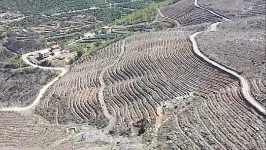 Kavaklıdere'de yanan alanlarda çalışmalar sürüyor