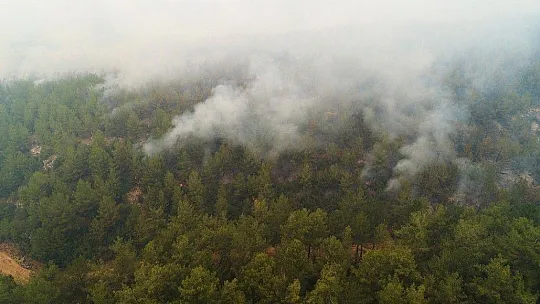Kavaklıdere yangını havadan görüntülendi