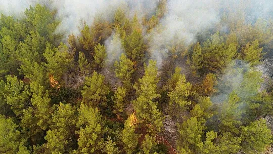 Kavaklıdere yangını havadan görüntülendi