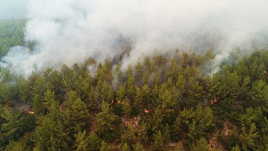 Kavaklıdere yangını havadan görüntülendi