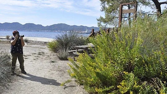 Kendini kelebeklere adadı