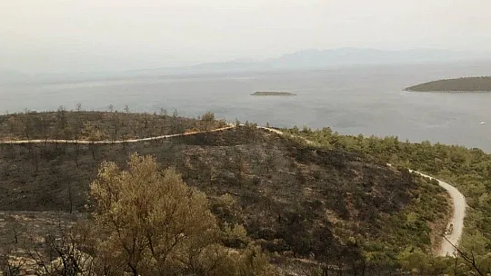 Kissebükü'nde topyekûn mücadele var