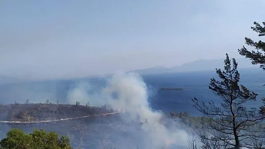 Kissebükü'nde topyekûn mücadele var