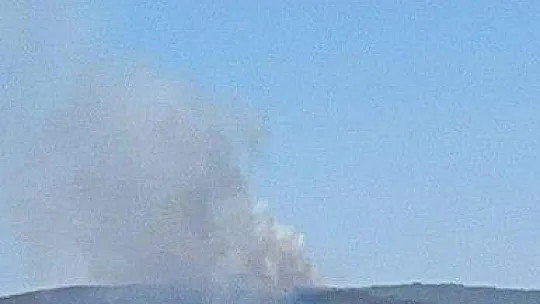 Kıyıkışlacık'ta ormanlık alanda yangın başladı