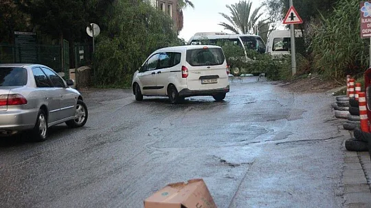 Koca ağaç bir anda yola devrildi